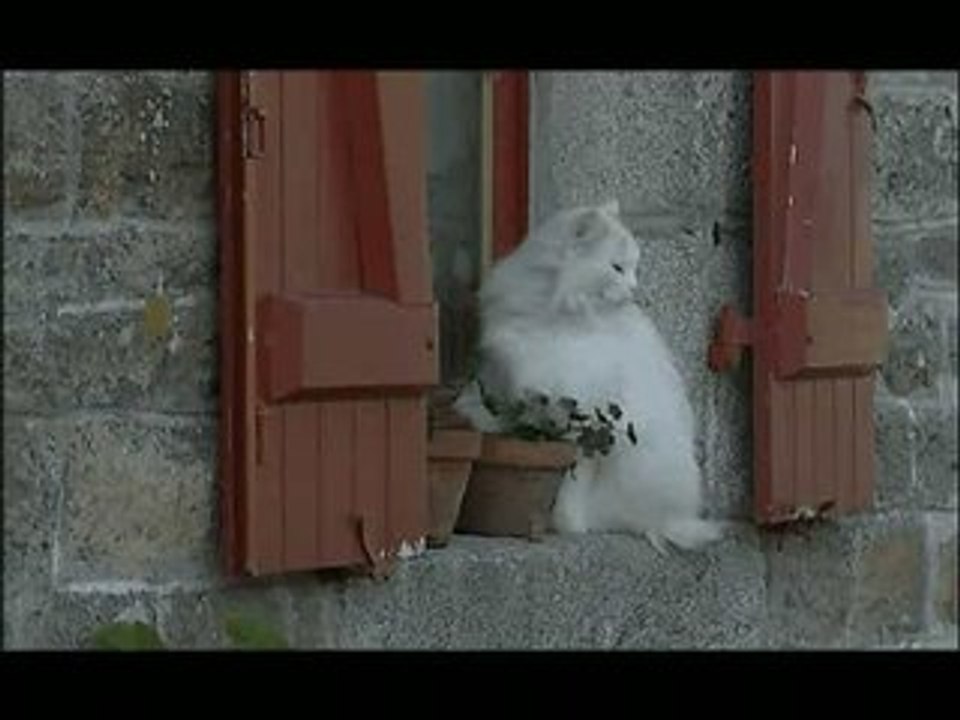à reprendre : café à Mellionnec