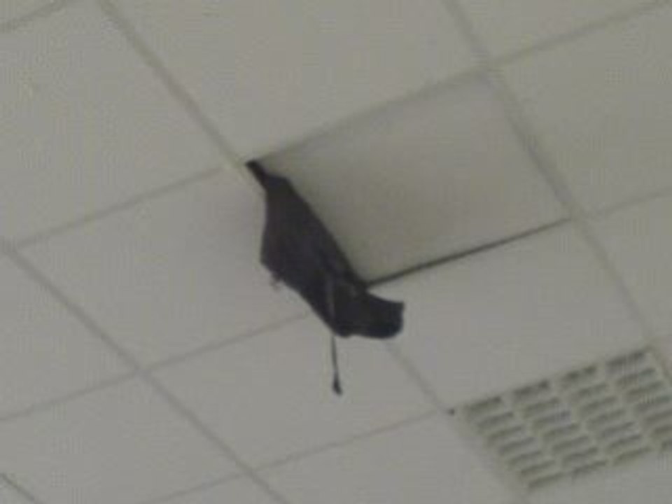 Lionel pwned by faux plafond