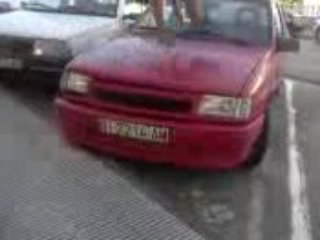 gato rompe
