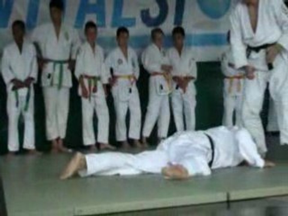 démonstration ju-jitsu