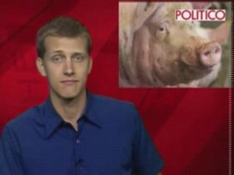 Du rouge à lèvres à un cochon , la chronique de Kotecki