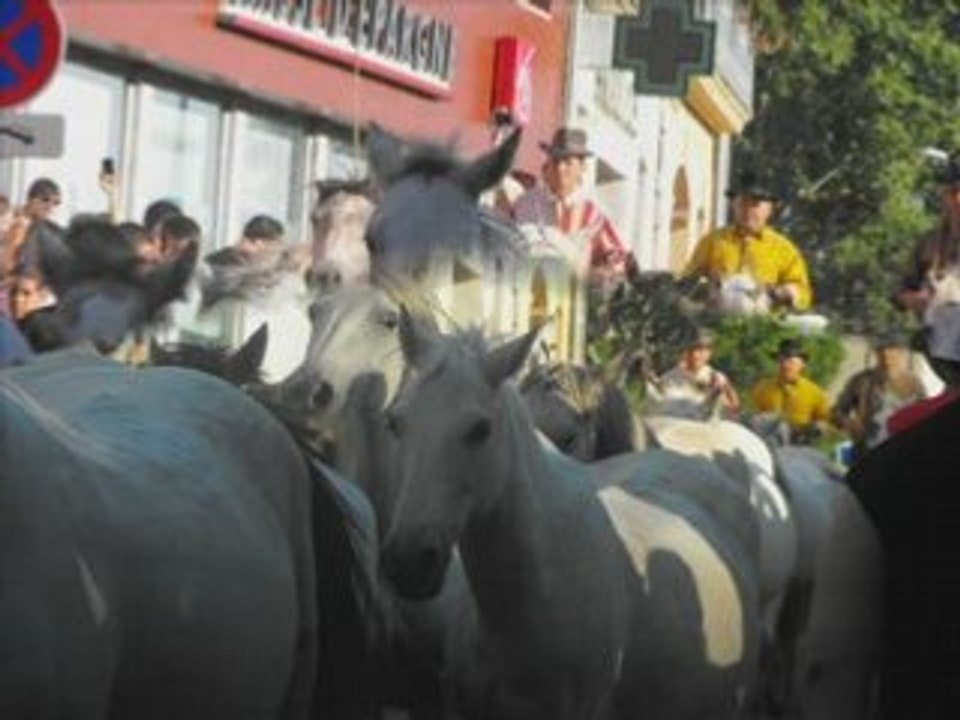 fete de lunel 2008