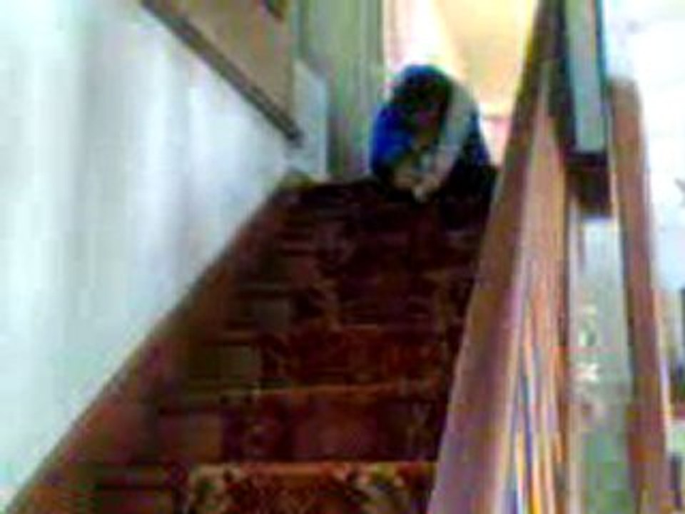 Régis fait du bobsleigh