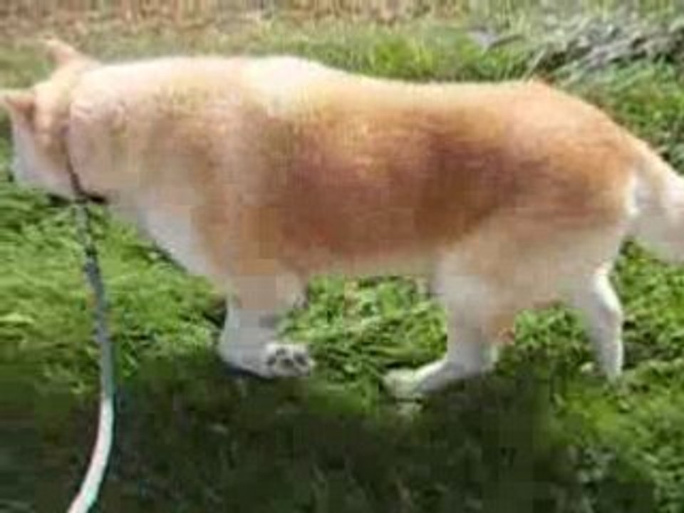 PICT0006