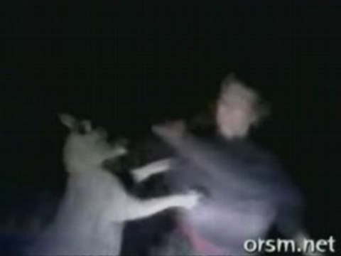 apalea a un canguro hasta dejarlo inconsciente