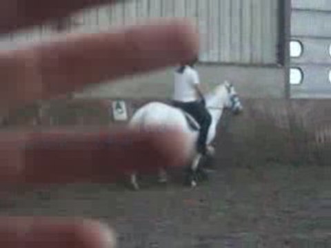 FICELLE & MOI AU TROT ASSIS SANS ETRIERS