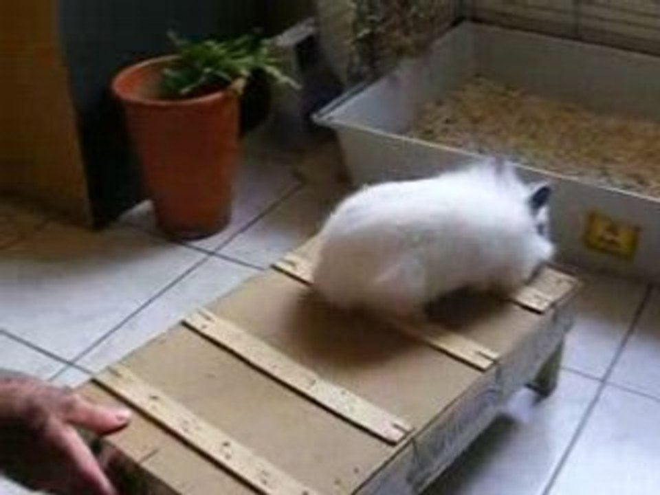 Pinpin en ballade
