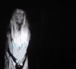 Attendez-moi sous l'orme