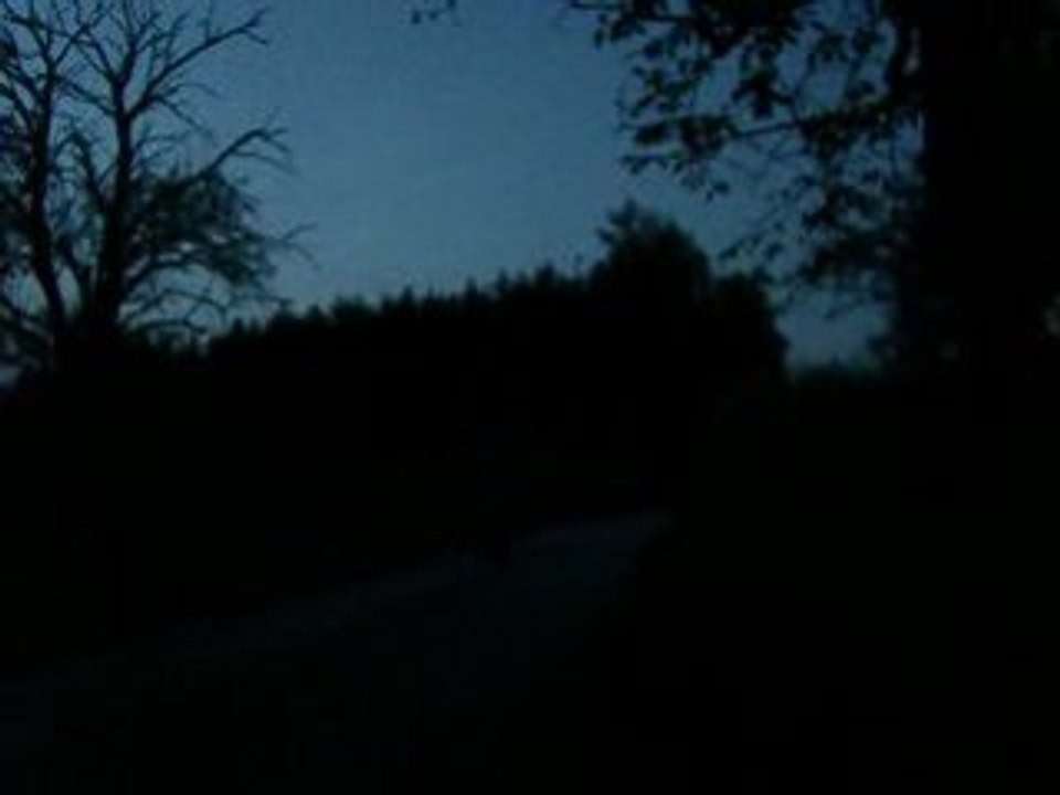 Lo$t PrOpHet's RiEjU SPiKe