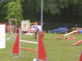 Bullit-1er degré BG