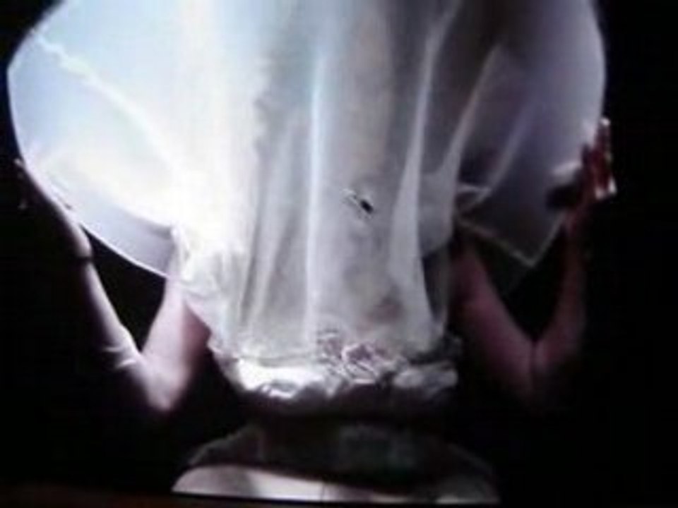 Je suis comme je suis