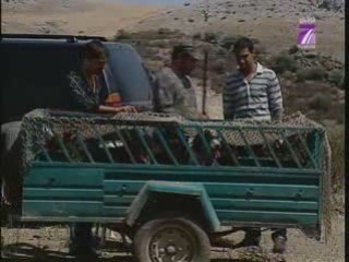 TV7 -1109 Maktoub E.11 P3/3