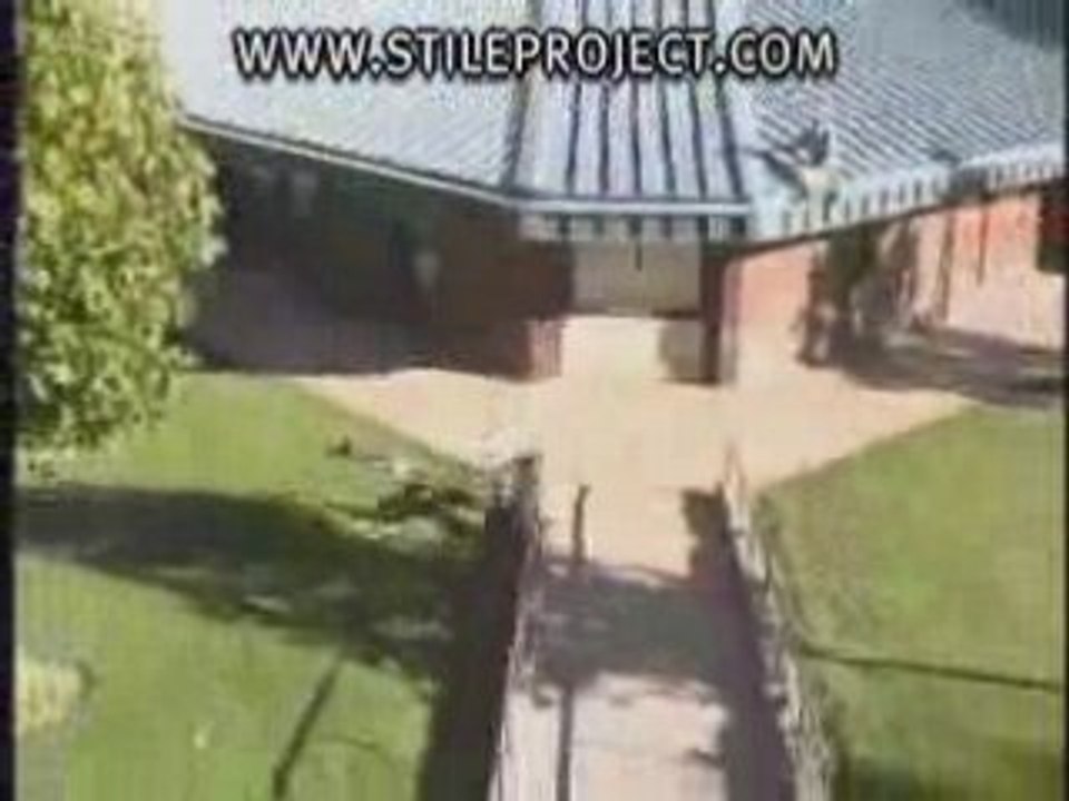 idiots