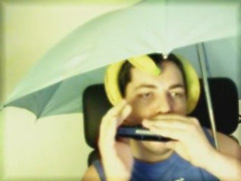 Harmonica - Moonlight Serenade