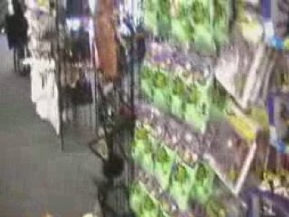 HALLOWEEN EXPRESS EXTENDED