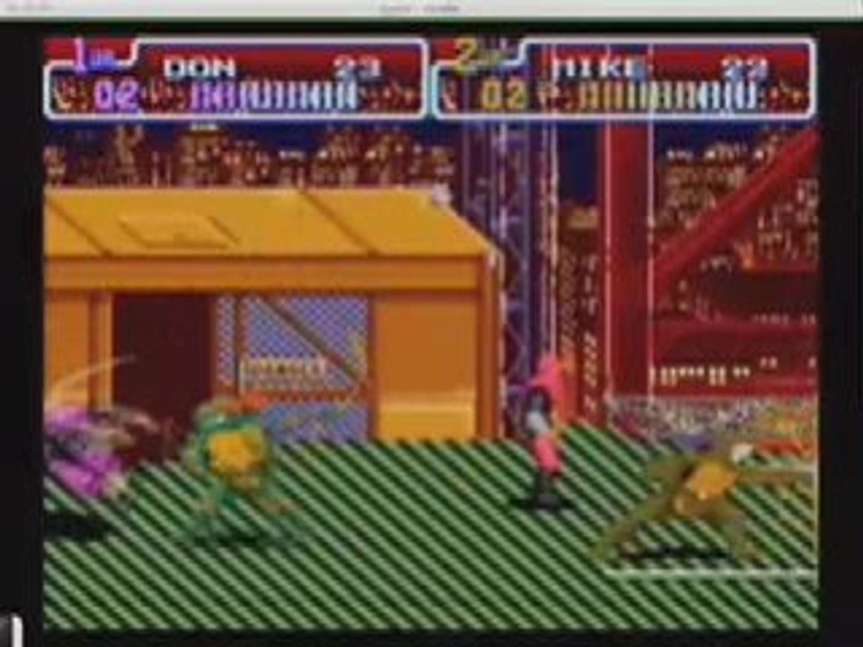 Turtles in time1