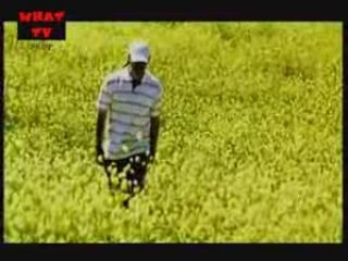 Ceza - Med Cezir by Aluxton