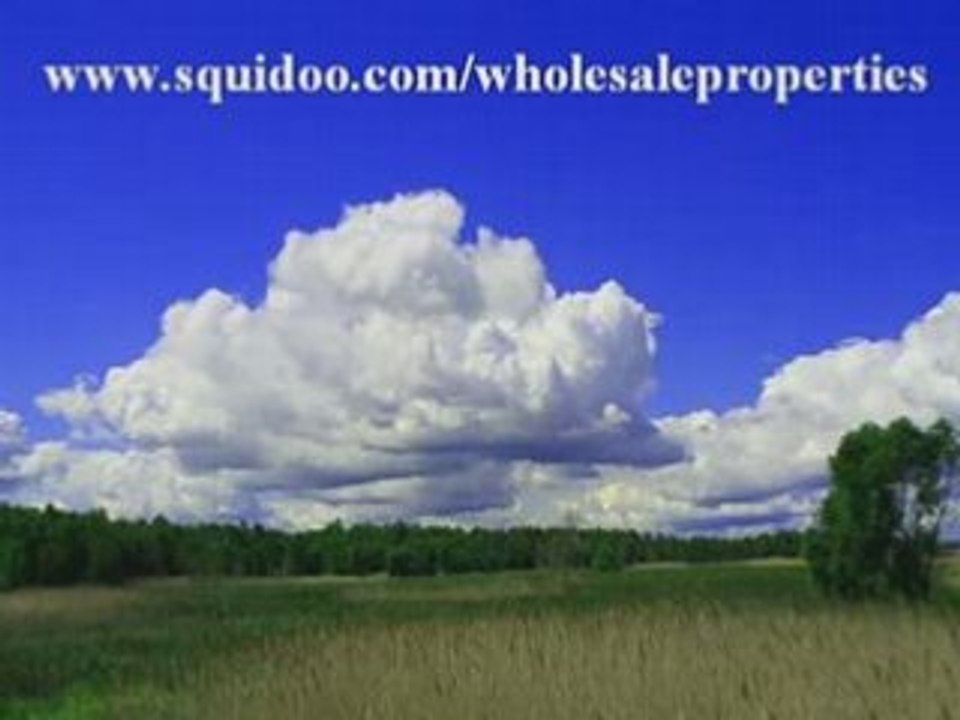 Wholesale real estate Properties