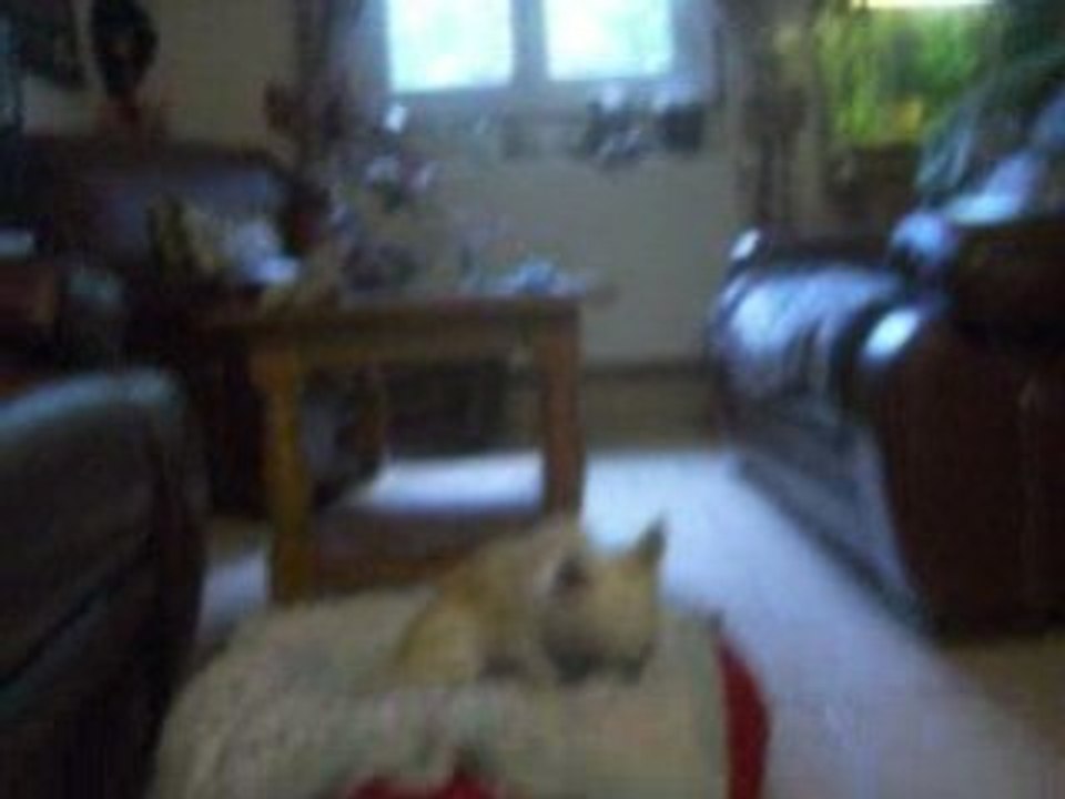 Video les deux kikis 12 sept 001