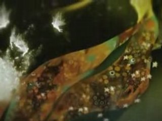 J'aimerais bien vous parler de ce que je n'ai pas vu