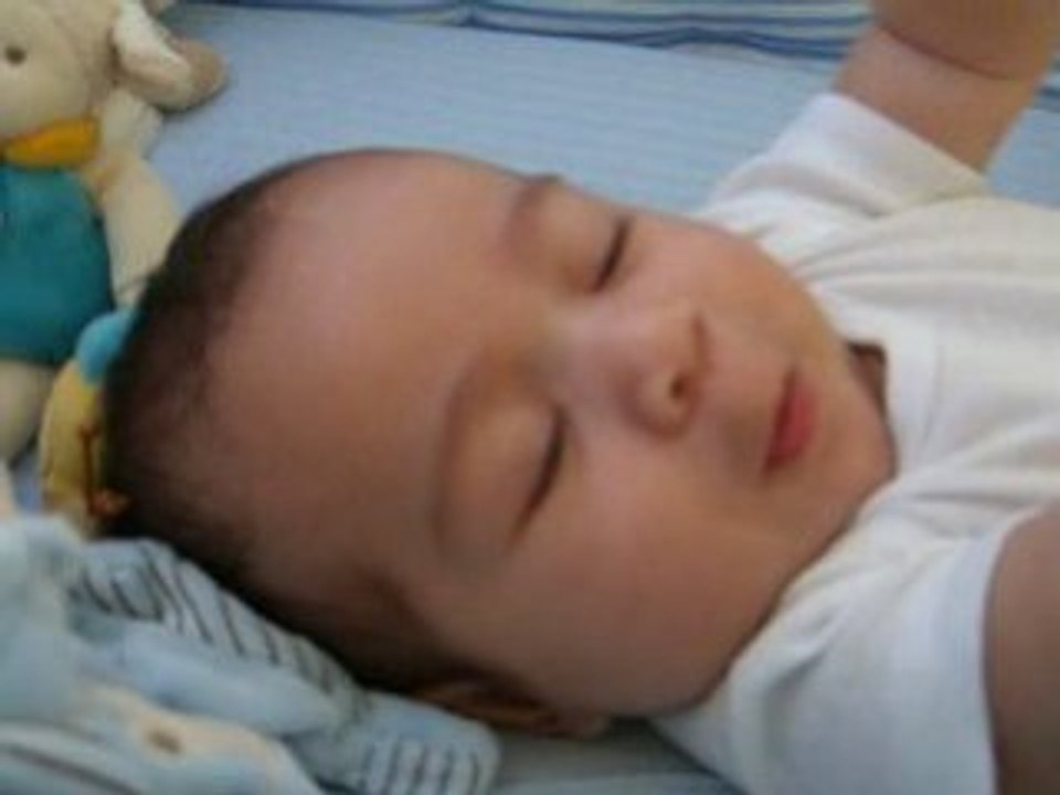 wael 11 09 08