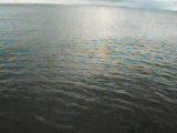 Haffkrug Ostsee Horizont Wasser Bis An Den Rand