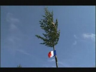 Les arbres de mai