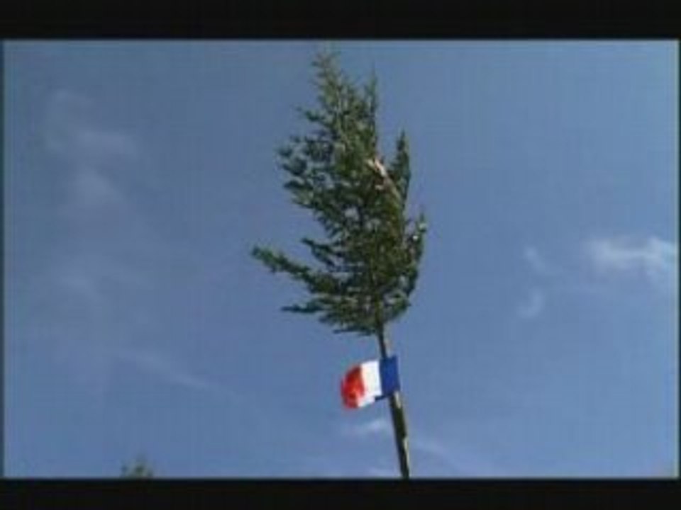 Les arbres de mai