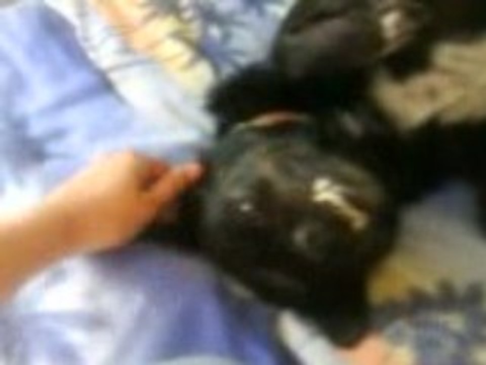 Mon Chien Gaga et moi ^^