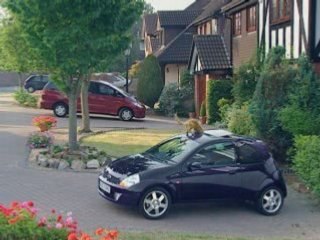 Pub Interdite En France Ford Ka-Chat-