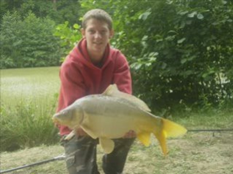 Peche a carpe