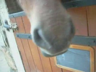 Délires avec Eux =)