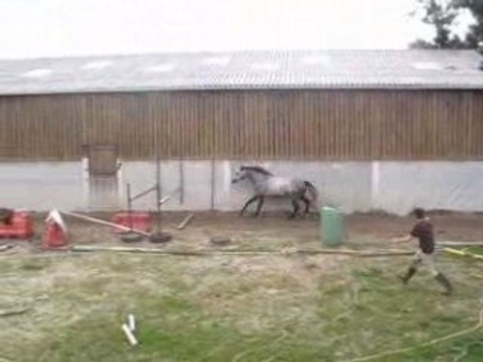 Chevaux 012