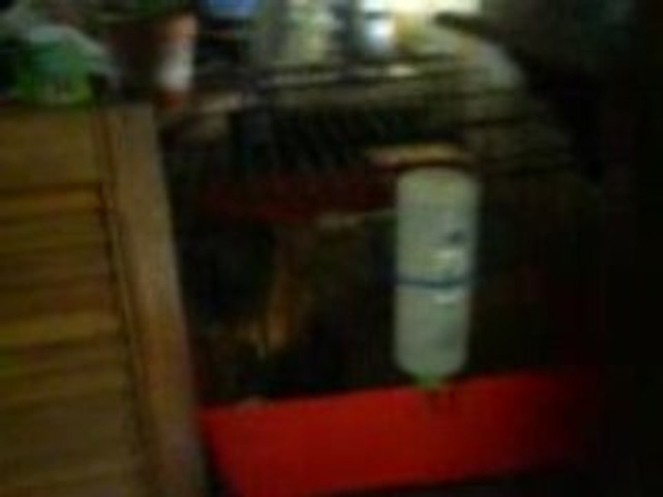 MOV00281