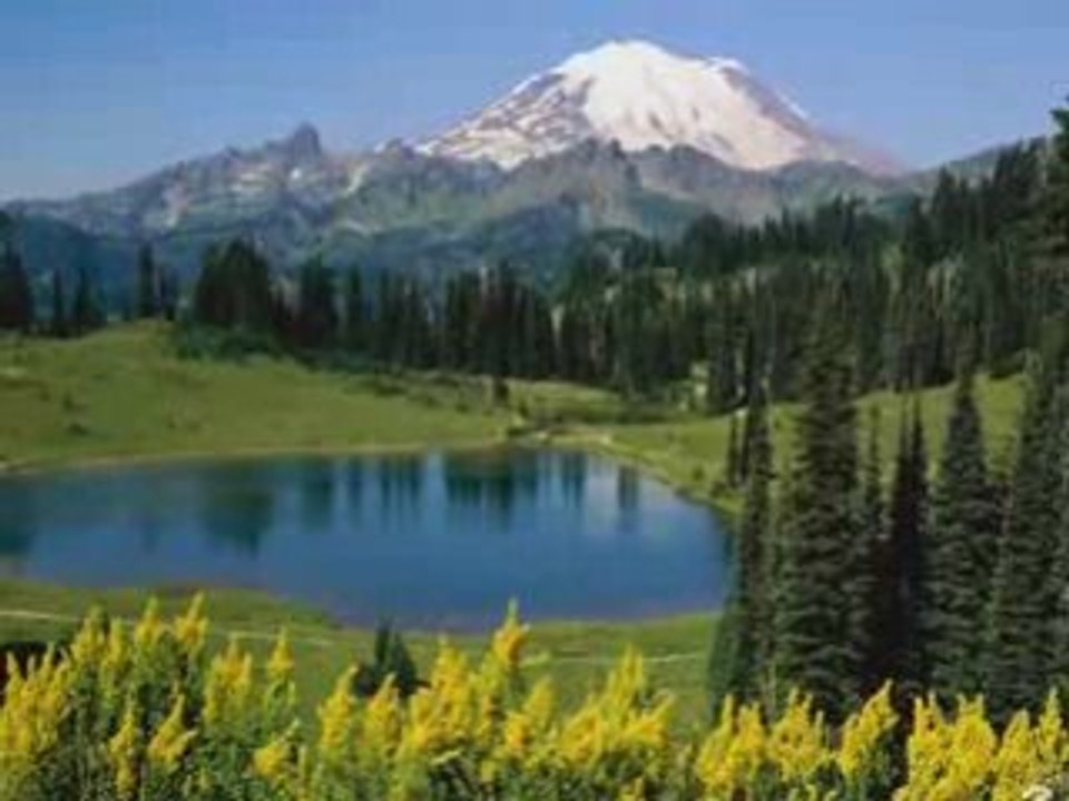 Narconon Drug Rehabilitation & Education