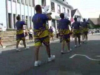 Corso Fleuri de Erstein 31_08_08 023