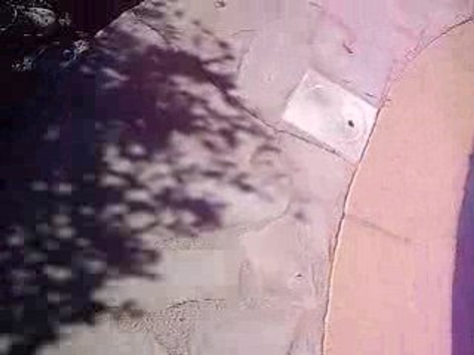 IMGP5569video