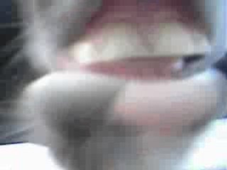 Bianca et ses dents