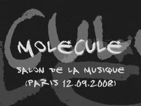 Molecule Salon de la musique et du son Paris dub reggae dub
