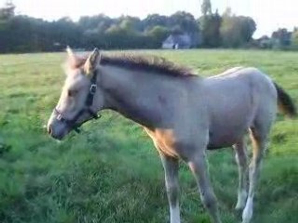 10 septembre 2008 018