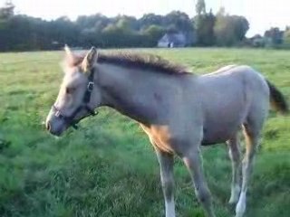 10 septembre 2008 018