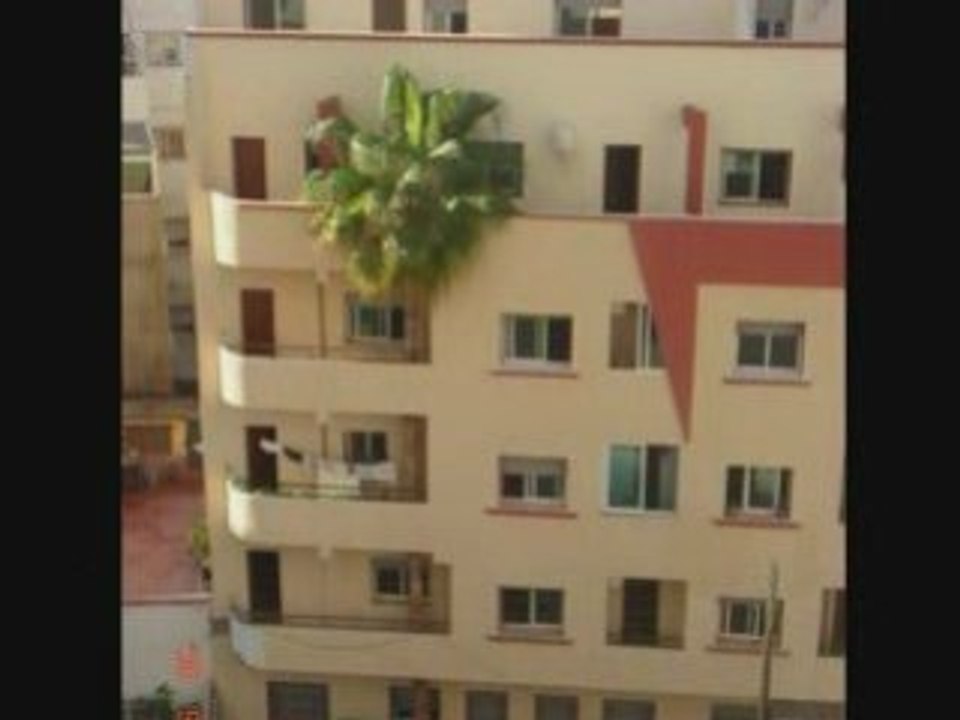 Didine - Rani weld el bled