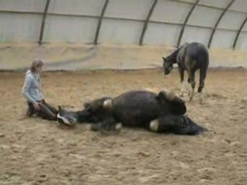 Fio couché a cheval 09/08