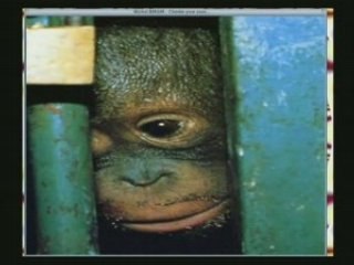 Chanter pour ceux ... Michel Berger par Kristof Daka