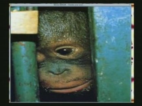 Chanter pour ceux ... Michel Berger par Kristof Daka