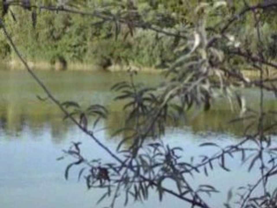 Le Parc Des Oiseaux