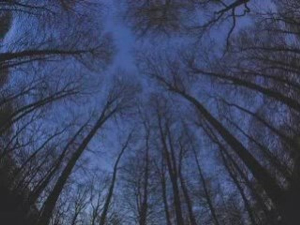 le ciel en mouvement