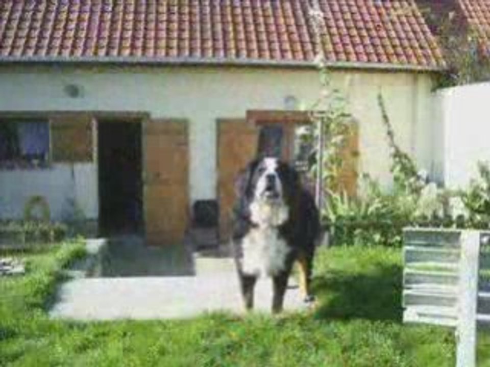 Titeuf_0002