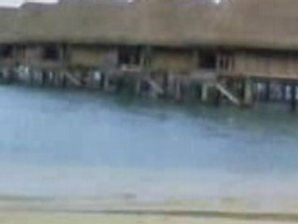 disconico around the world MOOREA  TOUR swimming pool