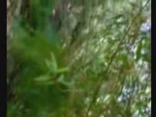 un pizca amazonico.wmv